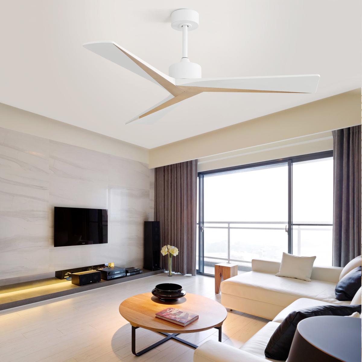 52 Inch Unique Design Ceiling Fan Without Light 3 Abs Blade with Dc Motor Remote Control